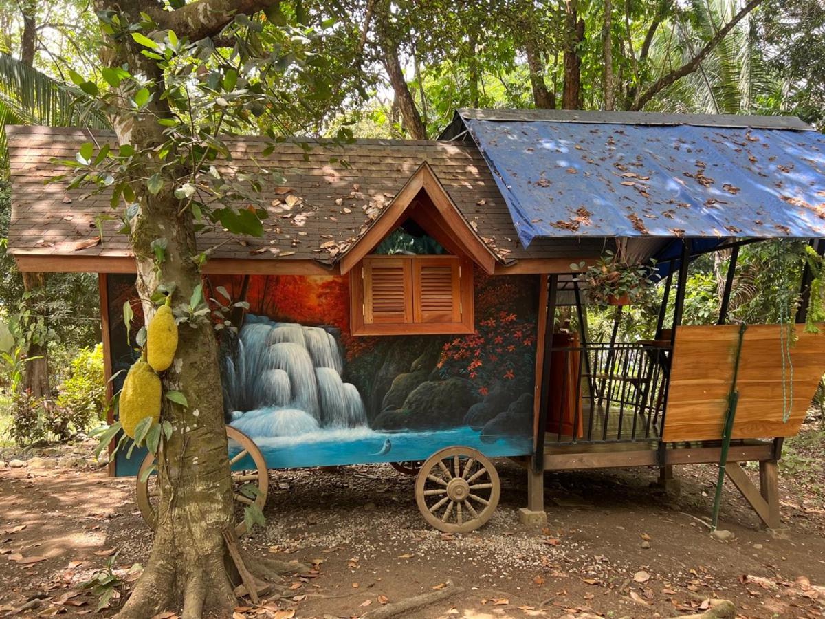 فندق Gypsy Wagons بافونيس المظهر الخارجي الصورة